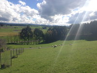 Gumtree Farmstay