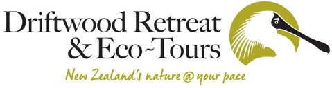 Driftwood Retreat - Accommodation New Zealand 12