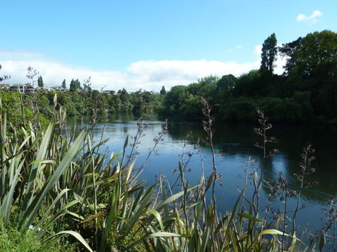Awa Retreat - Accommodation New Zealand 13