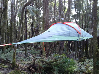 Sleeping In A Tree Tent