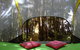 Sleeping In A Tree Tent - thumb 3