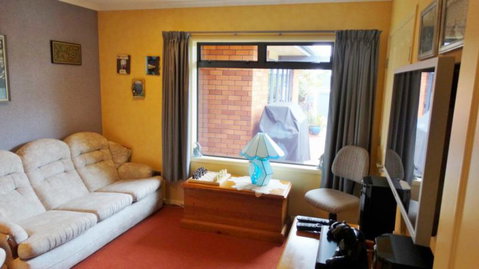 Bird Haven B & B - Accommodation New Zealand 4
