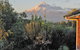 Bird Haven B & B - thumb 5