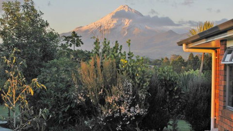 Bird Haven B & B - Accommodation New Zealand 5