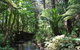 Kauri Villas - thumb 3