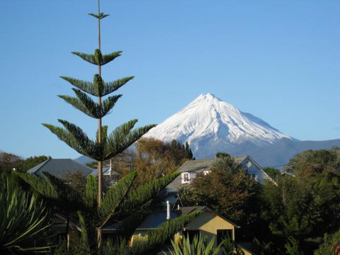 Tree Tops - Self Contained Apartment - Accommodation New Zealand 2