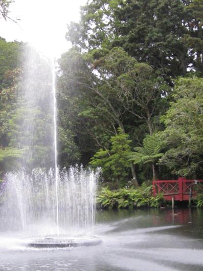 Tree Tops - Self Contained Apartment - Accommodation New Zealand 10