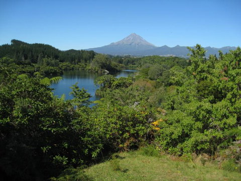 Tree Tops - Self Contained Apartment - Accommodation New Zealand 16