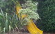 Ruishton Cottage Ltd - thumb 4
