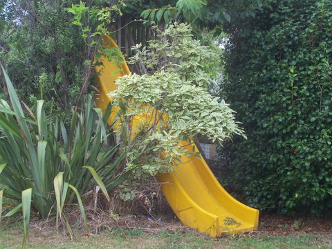 Ruishton Cottage Ltd - Accommodation New Zealand 4