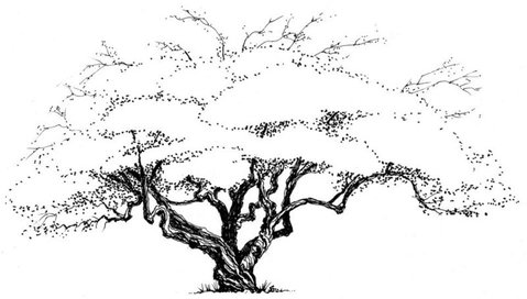 Plum Tree House B&B - Accommodation New Zealand 3