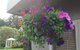 Above The Lake Taupo - thumb 5