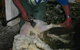 Petes Farm Stay B&B - thumb 4