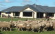 Petes Farm Stay B&B - thumb 6