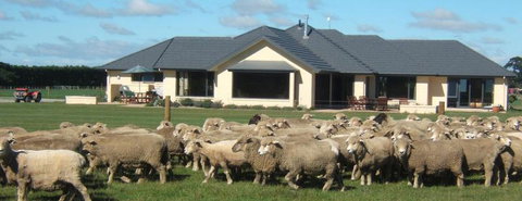 Petes Farm Stay B&B - Accommodation New Zealand 6