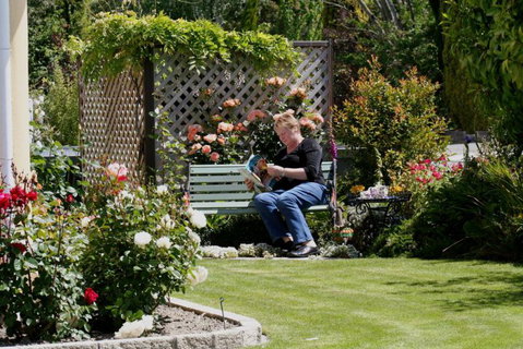Nest Haven Bed & Breakfast Homestay - Accommodation New Zealand 0