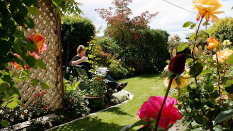 Nest Haven Bed & Breakfast Homestay - Accommodation New Zealand 2
