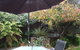 Jade Owl Bed And Breakfast - thumb 1