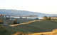 Tasman Farmstay Retreat - thumb 1
