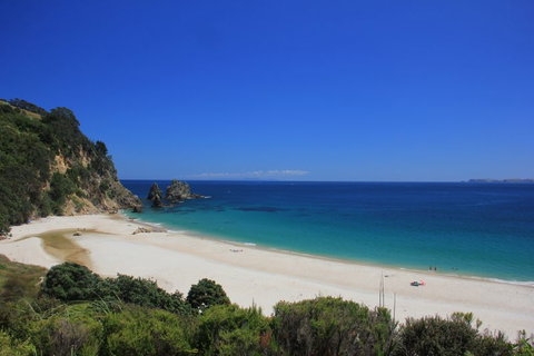 Otama Beach Hideaway - Accommodation New Zealand 0