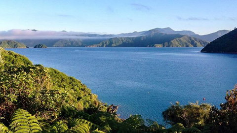 Whatamonga Home Stay Ltd - Accommodation New Zealand 1