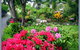 McAuley Glen Boutique Bed & Breakfast Homestay - thumb 0