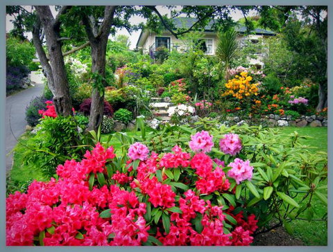 McAuley Glen Boutique Bed & Breakfast Homestay - Accommodation New Zealand 0