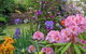 McAuley Glen Boutique Bed & Breakfast Homestay - thumb 9