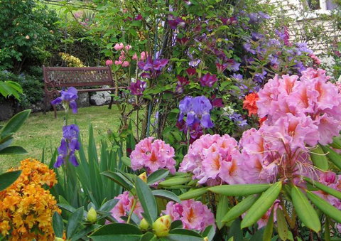 McAuley Glen Boutique Bed & Breakfast Homestay - Accommodation New Zealand 9
