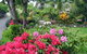 McAuley Glen Boutique Bed & Breakfast Homestay - thumb 11