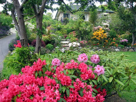 McAuley Glen Boutique Bed & Breakfast Homestay - Accommodation New Zealand 11
