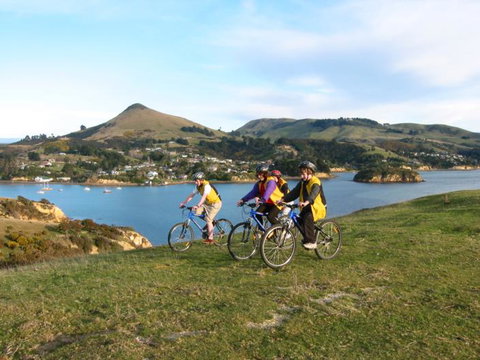 McAuley Glen Boutique Bed & Breakfast Homestay - Accommodation New Zealand 17