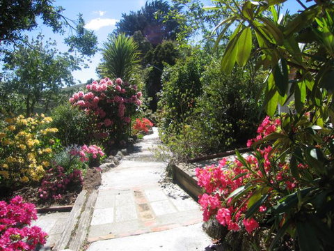 McAuley Glen Boutique Bed & Breakfast Homestay - Accommodation New Zealand 18