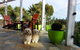 Pacific View Homestays - thumb 8