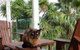 Pacific View Homestays - thumb 9