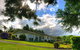 Lake Ngatu Lodge BnB And Gardens - thumb 3