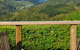 Lake Ngatu Lodge BnB And Gardens - thumb 5