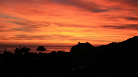 Hahei Horizon Bed & Breakfast - Accommodation New Zealand 7