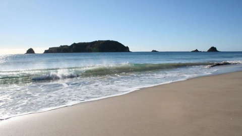 Hahei Horizon Bed & Breakfast - Accommodation New Zealand 8