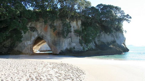 Hahei Horizon Bed & Breakfast - Accommodation New Zealand 9