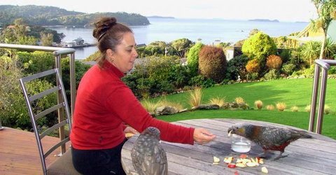Sails Ashore - Accommodation New Zealand 14