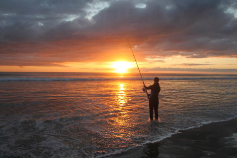 Fish Far North - Accommodation New Zealand 2
