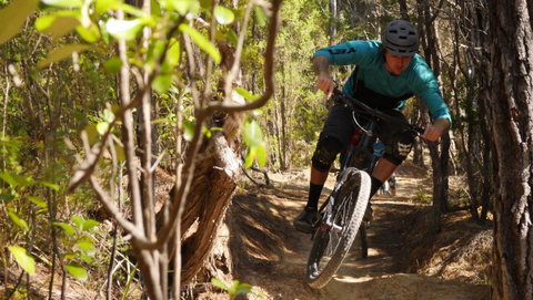 Experience Kaiteriteri - Accommodation New Zealand 8