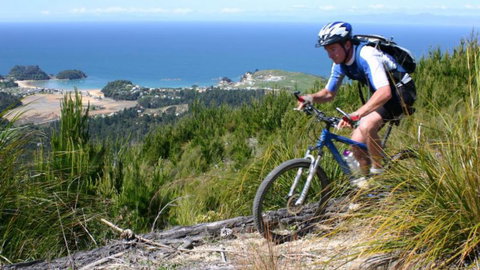 Experience Kaiteriteri - Accommodation New Zealand 9