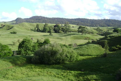 Maungakawa Views New Zealand Farmstays