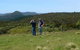 Chaslands Farm Cottages - thumb 5