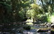 Chaslands Farm Cottages - thumb 6