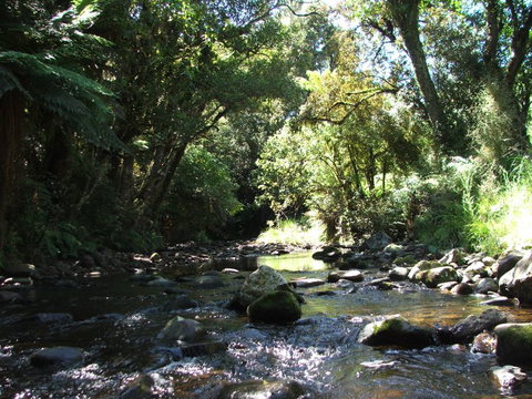 Chaslands Farm Cottages - Accommodation New Zealand 6