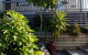 Roselands Chalet Accommodation - thumb 0