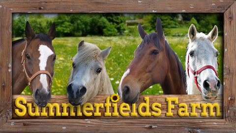 Summerfields Farmstay - Accommodation New Zealand 0